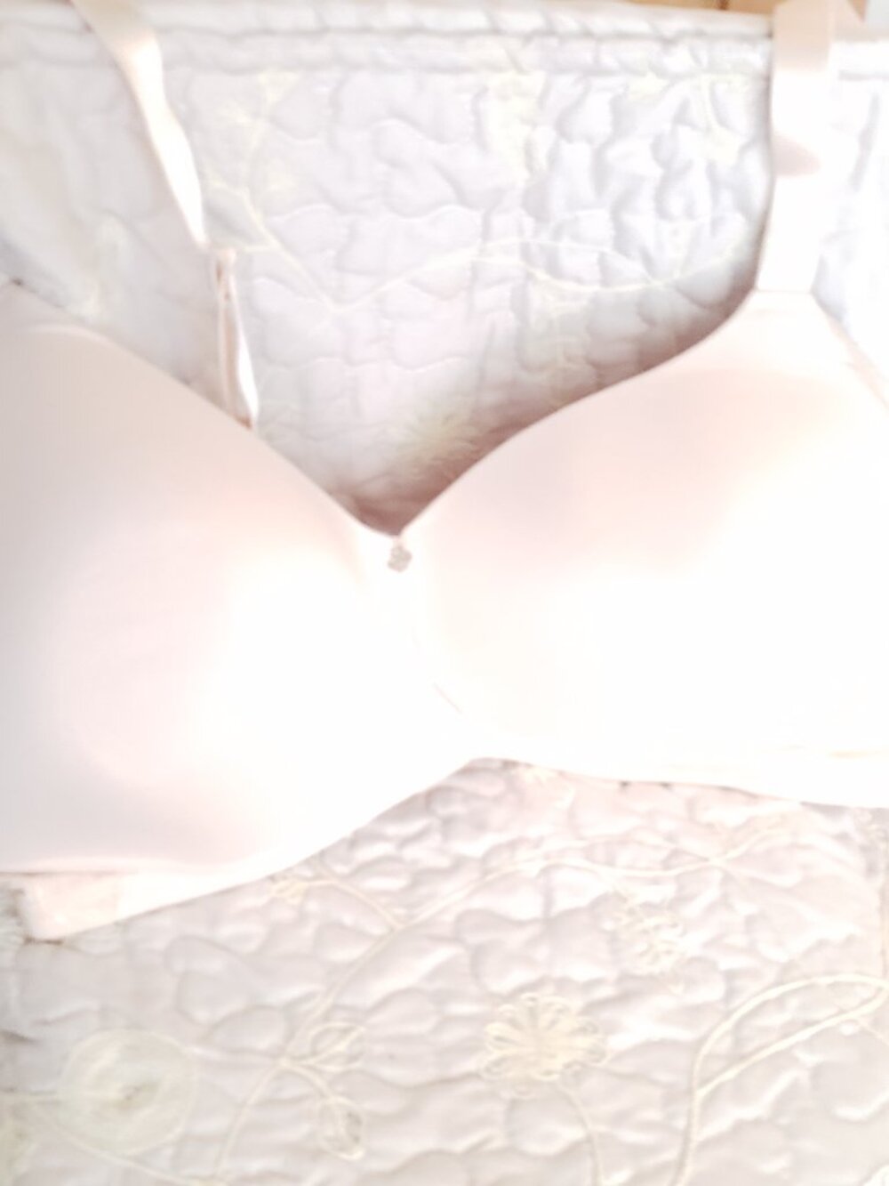 BNWoT BREEZIES intimates creamy cream floral lace (42C)